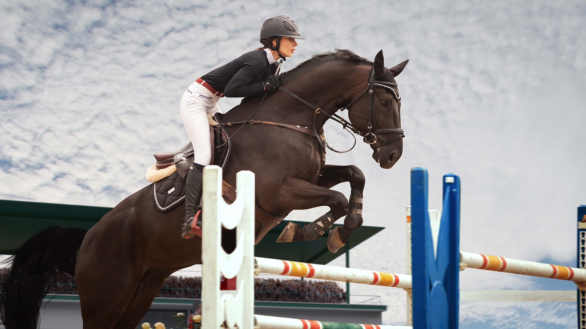 Gamme Plus Jump